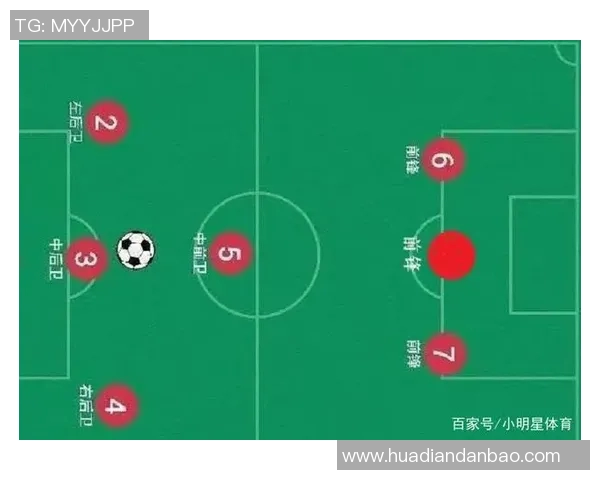北爱尔兰与匈牙利足球对决全面分析及战术解析